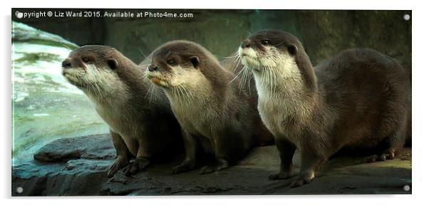  Otters Acrylic by Liz Ward