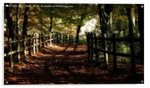 Forest path in Autumn Acrylic by Liz Ward