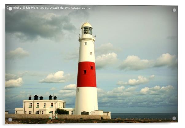 Portland Bill Lighthouse Acrylic by Liz Ward