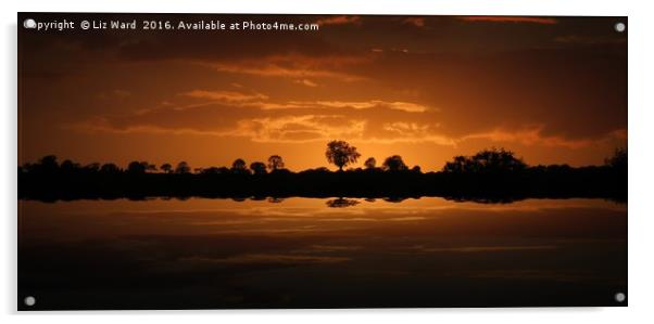 Reflective sunset Acrylic by Liz Ward
