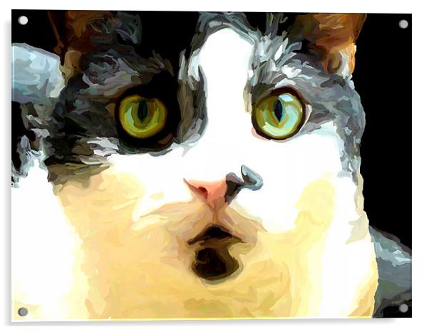 Black and White Cat Acrylic by Trevor Butcher