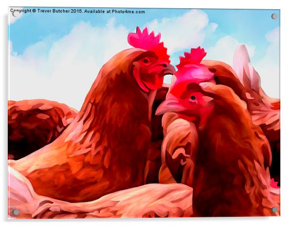  The Chickens Acrylic by Trevor Butcher