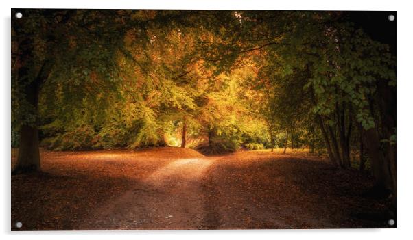 Golden Autumn Light Acrylic by Mark Harrop
