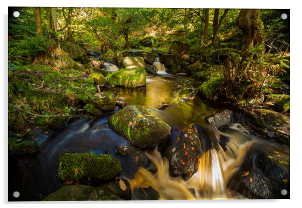 Autumn river Acrylic by Mark Harrop