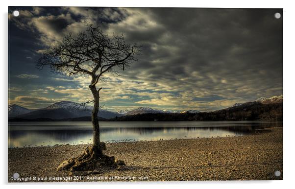 Lone tree Loch Lomond Acrylic by Paul Messenger