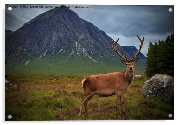 Monarch of the Glen at the Buachaille  Acrylic by Paul Messenger