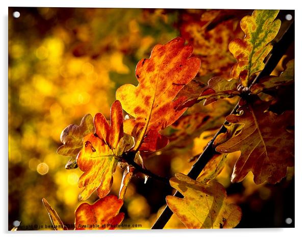 autumn leaves Acrylic by Jo Beerens