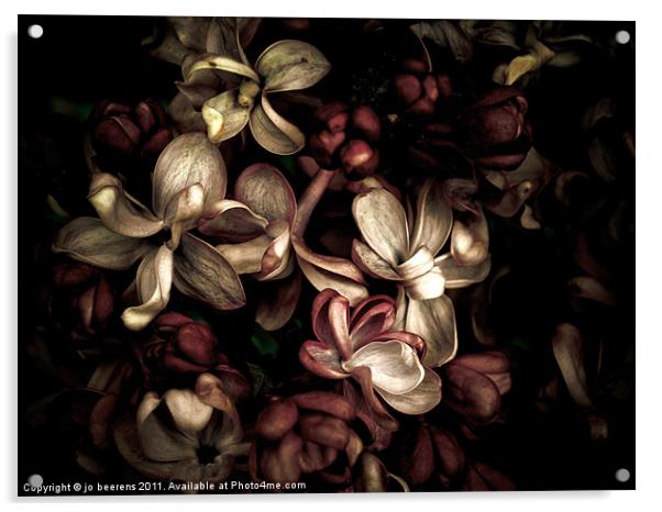 dark flowers Acrylic by Jo Beerens