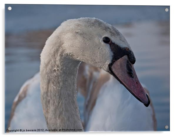 swan neck Acrylic by Jo Beerens