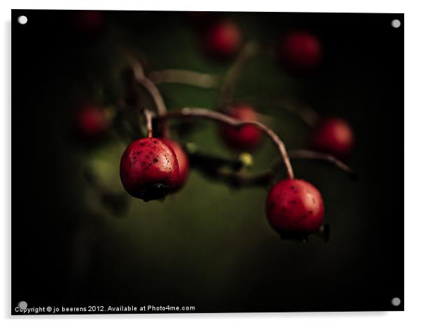 red berries Acrylic by Jo Beerens