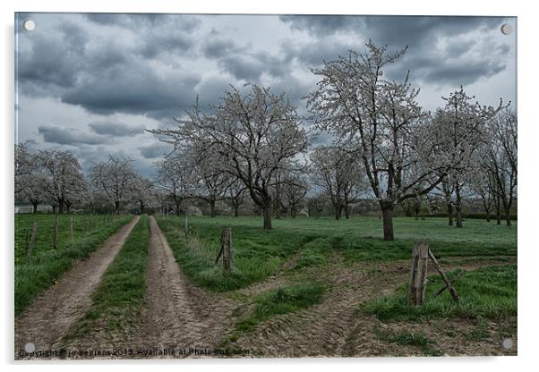 blossoming trees Acrylic by Jo Beerens