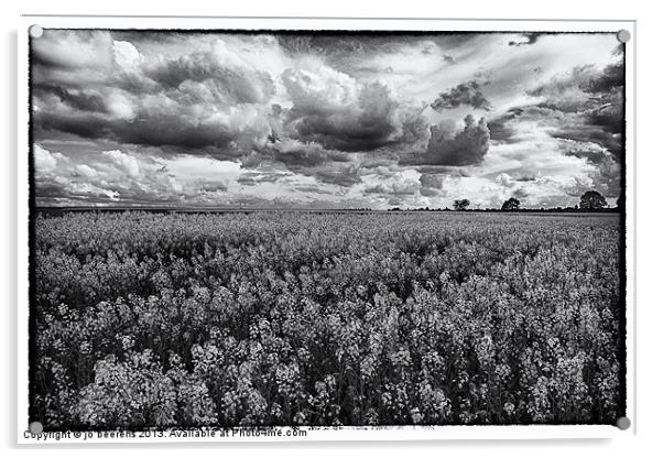 rapeseed field black and white Acrylic by Jo Beerens