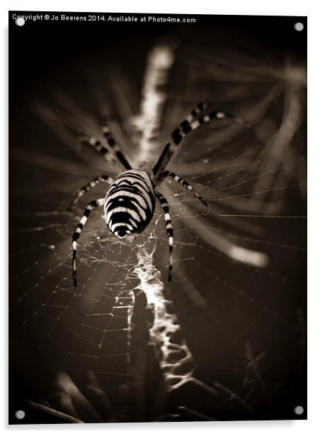 spider in waiting Acrylic by Jo Beerens