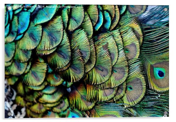 peacock pattern Acrylic by Jo Beerens