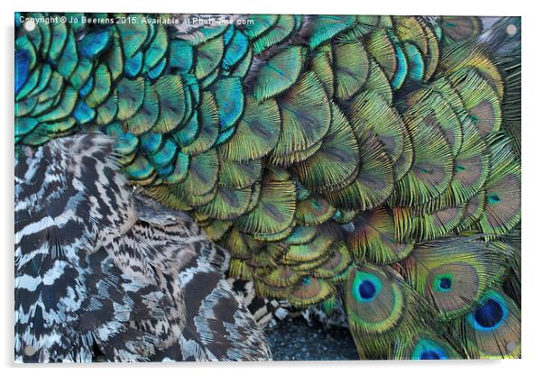 peacock pattern Acrylic by Jo Beerens