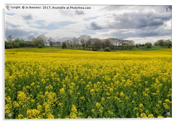 spring rapeseed field Acrylic by Jo Beerens