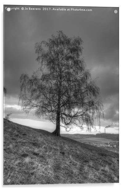 hillside birch tree Acrylic by Jo Beerens