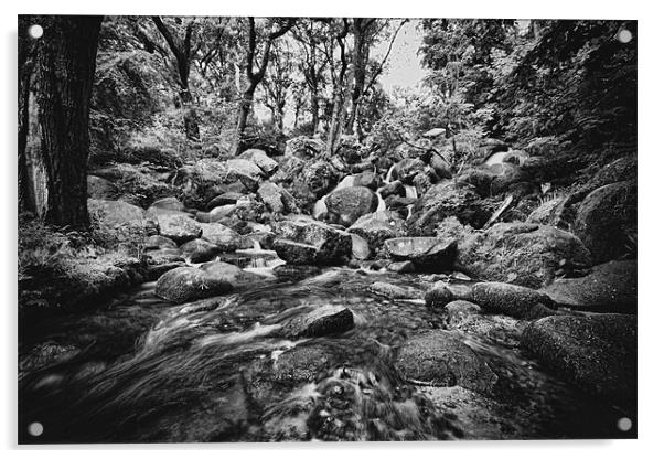 Becky Falls Rapids Acrylic by Dean Messenger