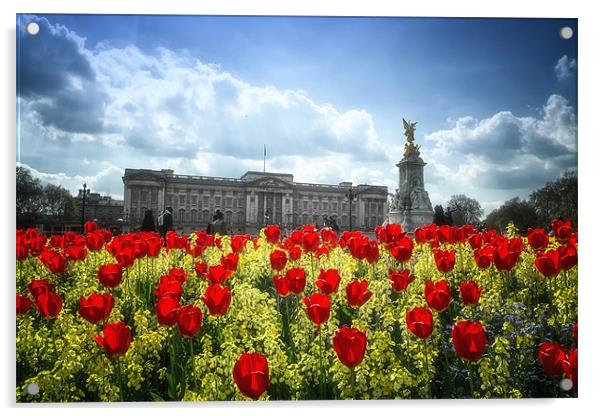 Tulips at Buckingham Palace Acrylic by Dean Messenger