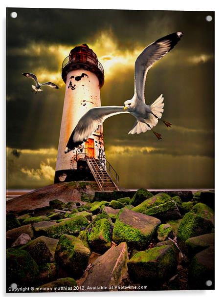 Talacre lighthouse with seagulls Acrylic by meirion matthias