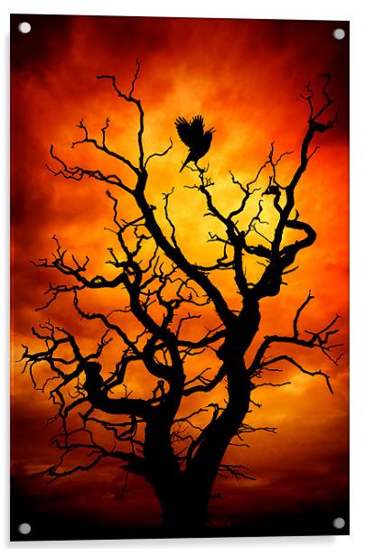 The Raven Acrylic by meirion matthias