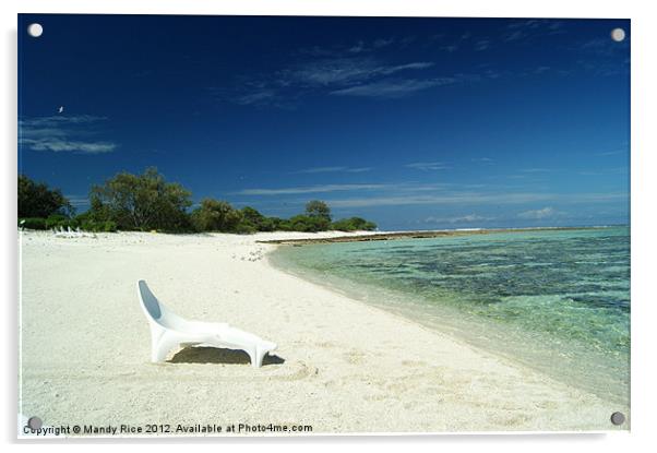 Beach Lady Elliot Island Australia Acrylic by Mandy Rice