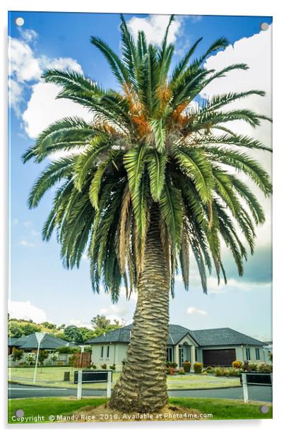 NZ Palm Tree Acrylic by Mandy Rice