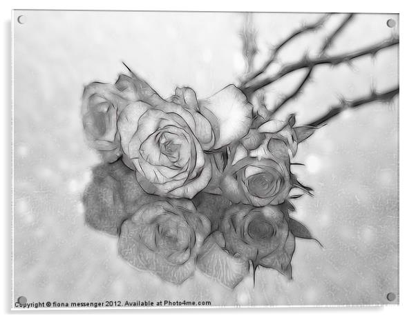 Black and White Roses Acrylic by Fiona Messenger