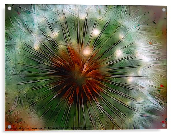 Dandelion fractalius 2 Acrylic by Fiona Messenger