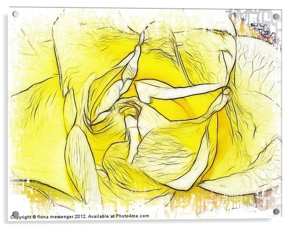 Yellow Rose Acrylic by Fiona Messenger