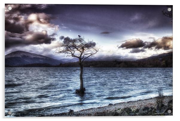 Lone Tree Acrylic by Fiona Messenger