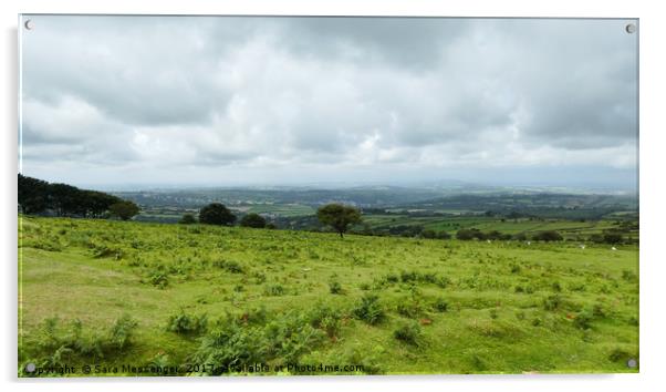 Dartmoor Views Acrylic by Sara Messenger
