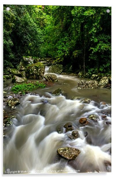 Cave Creek - Springbrook National Park Acrylic by Mark Lucey