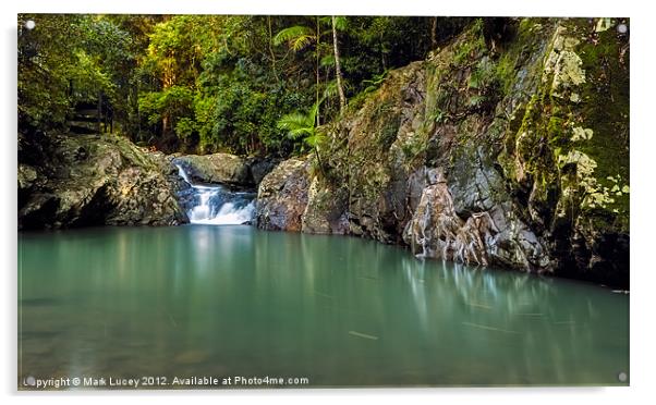 The Cascades of Mt Cougal Acrylic by Mark Lucey