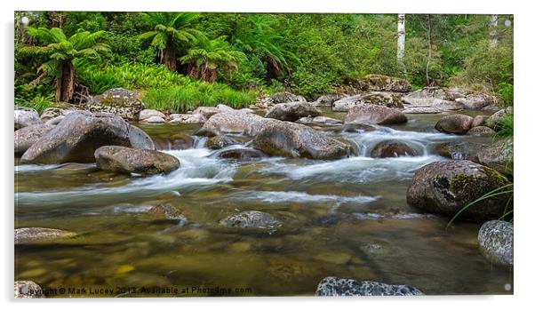 Rocky Valley Creek - Alpine National Park Victoria Acrylic by Mark Lucey