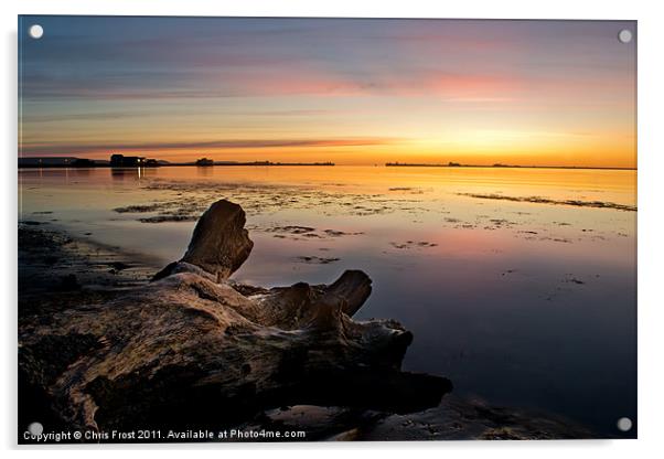 Stumped at Portland Breakwater Acrylic by Chris Frost