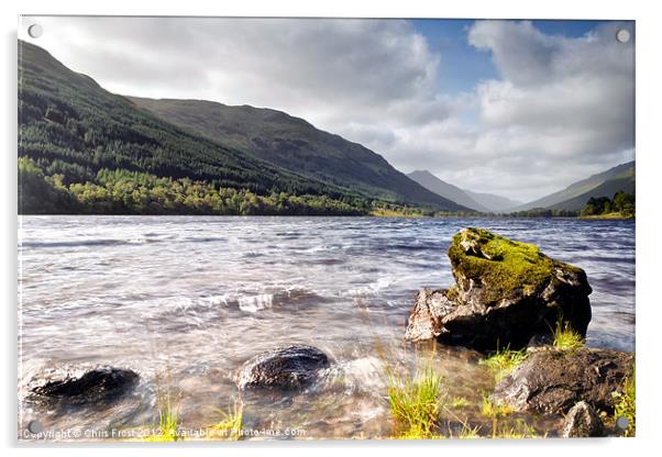 Loch Voil Moss Acrylic by Chris Frost