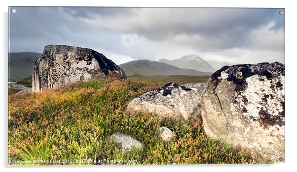 Loch Na Boulders Acrylic by Chris Frost