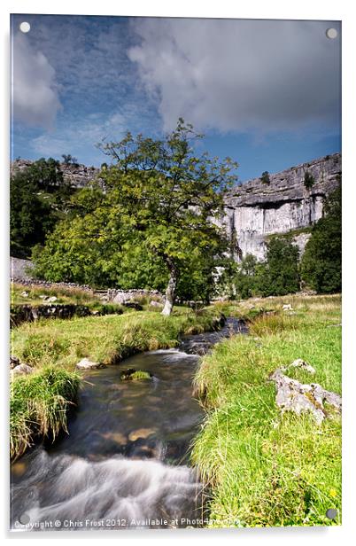 Malham Cove Flow Acrylic by Chris Frost