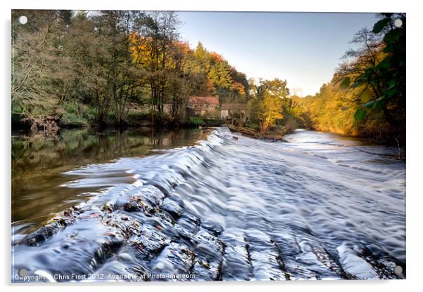 Nidd Gorge Autumn Weir Acrylic by Chris Frost