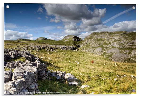 All Alone at Malham Acrylic by Chris Frost