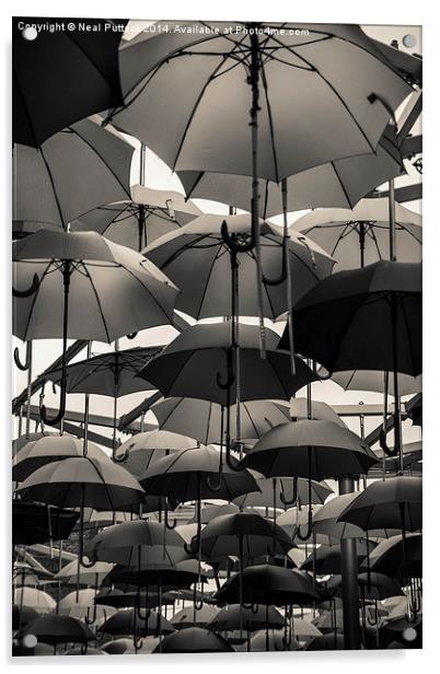 Never without a brolly Acrylic by Neal P