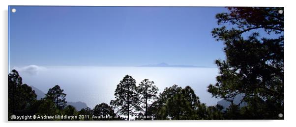 View Of Tenerife Acrylic by Andrew Middleton