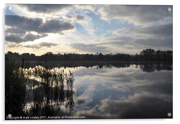 frensham pond tilford surrey Acrylic by mark coates