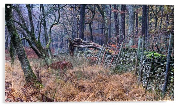 The Deer Fence Acrylic by John Dunbar