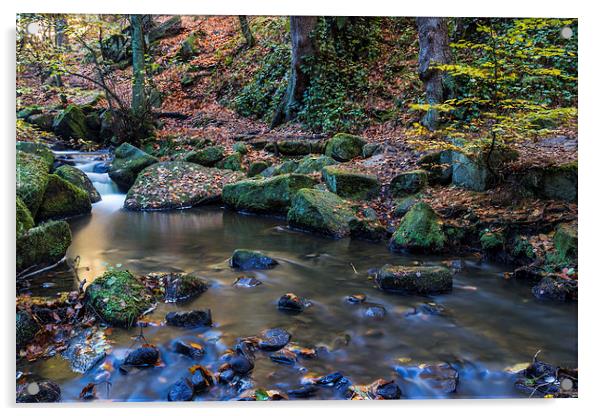 Autumn on Wyming Brook IV Acrylic by John Dunbar