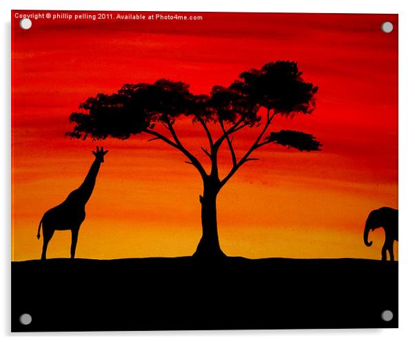 African sunset Acrylic by camera man