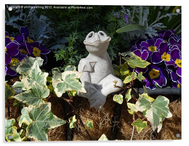 Frog Garden Acrylic by camera man