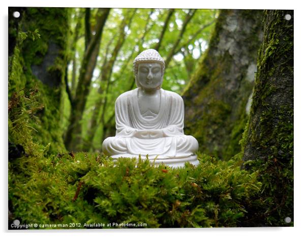 Buddha moss Acrylic by camera man
