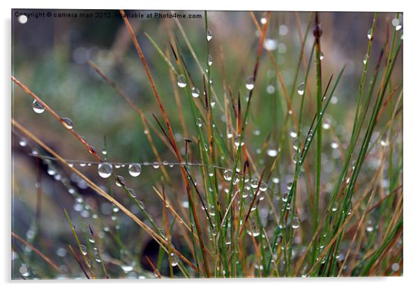 Dew Drop Acrylic by camera man